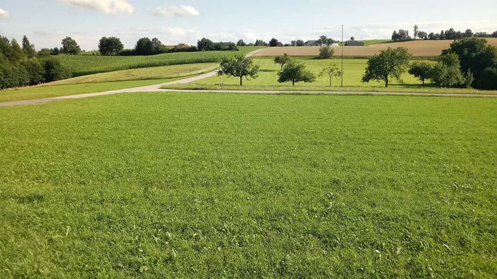 Grundstück kaufen in Rohrbach – 2 529 m², € 247.000 – Bild 3 von 3