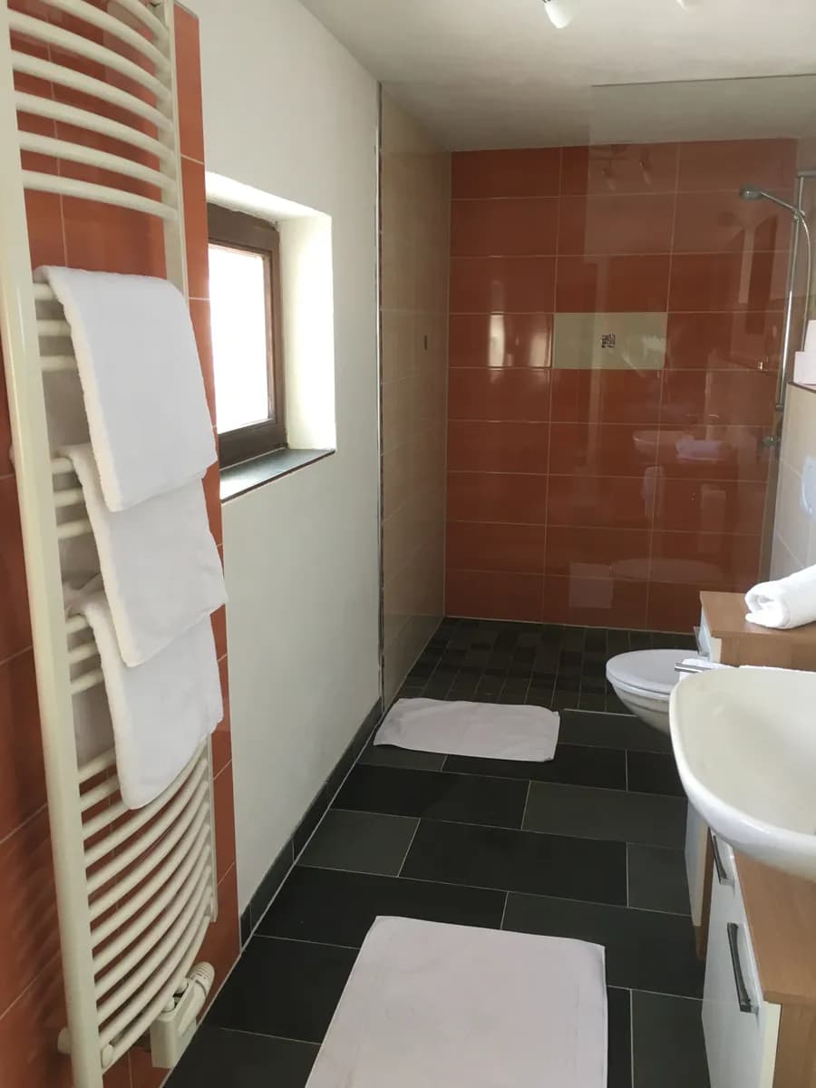2-Zimmer-Wohnung mieten in Kitzbühel – 55 m², € 1.000 – Bild 9 von 10