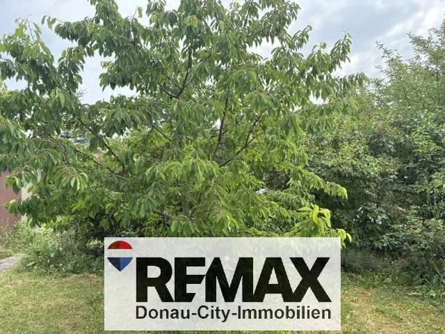 6-Zimmer-Haus kaufen in Tulln – 177 m², € 470.000 – Bild 13 von 20
