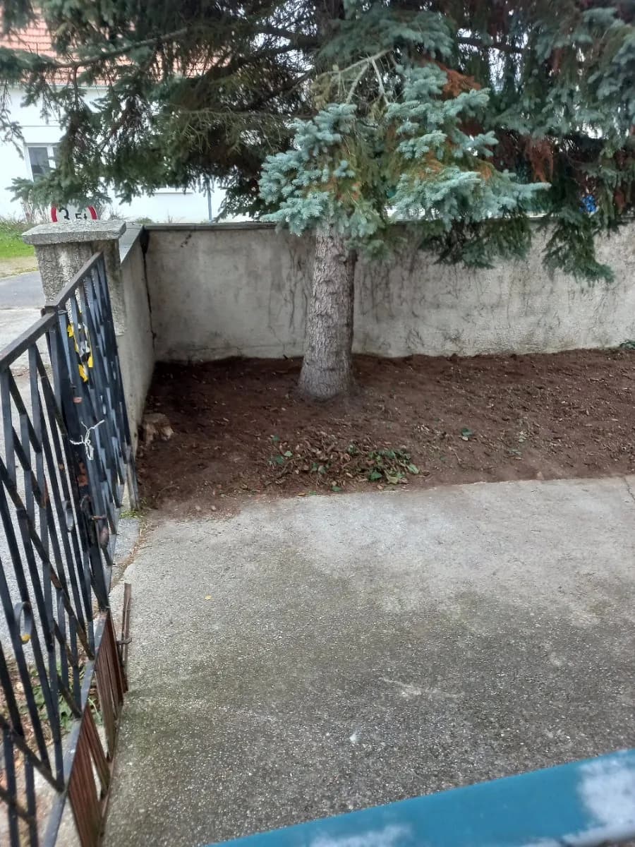 6-Zimmer-Haus mieten in Oberpullendorf – 150 m², € 900 – Bild 25 von 27
