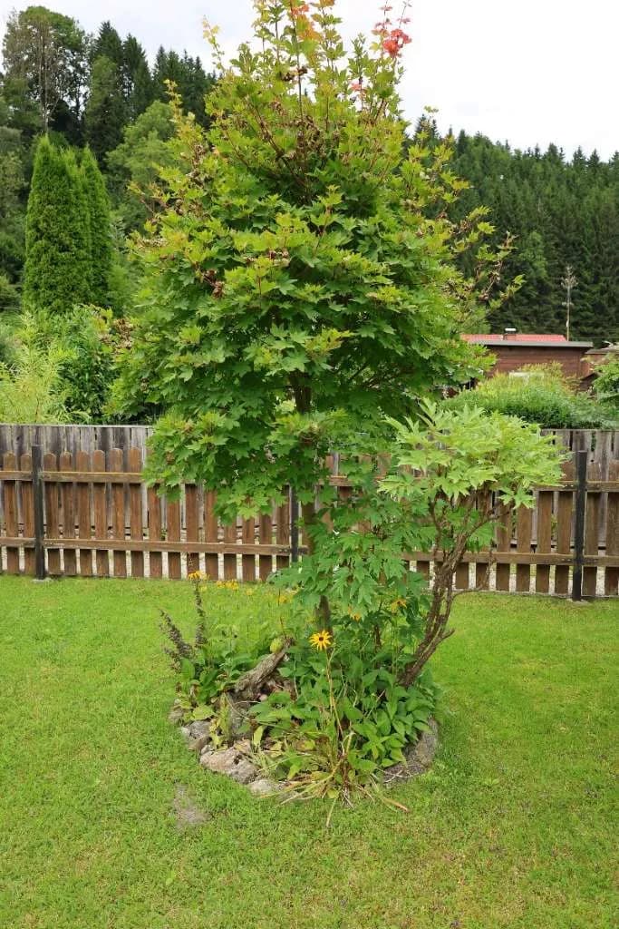 Immobilie kaufen in Bruck-Mürzzuschlag – 422 m², € 55.000 – Bild 14 von 51