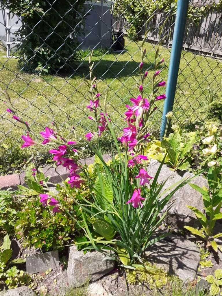 Immobilie kaufen in Bruck-Mürzzuschlag – 422 m², € 55.000 – Bild 41 von 51