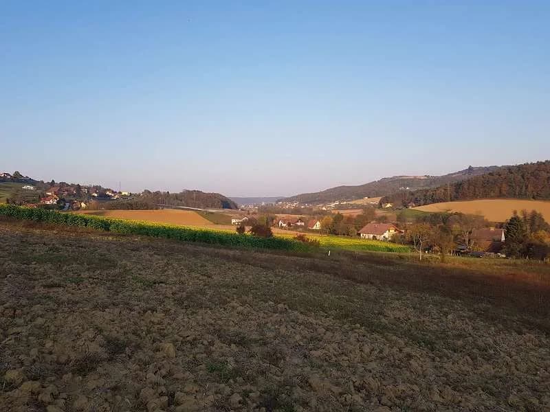 Grundstück kaufen in Südoststeiermark – 1 583 m², € 68.000