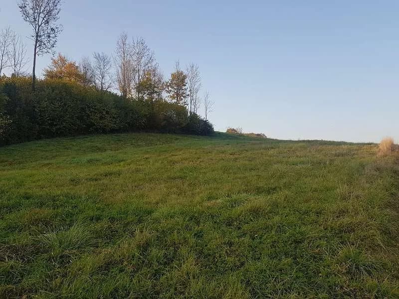 Grundstück kaufen in Südoststeiermark – 1 583 m², € 68.000 – Bild 2 von 5