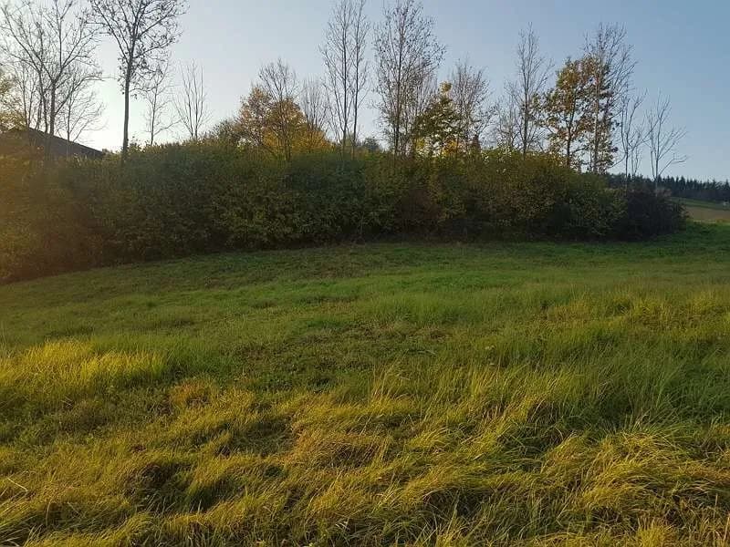 Grundstück kaufen in Südoststeiermark – 1 583 m², € 68.000 – Bild 3 von 5