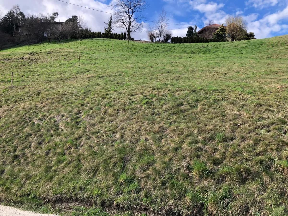 Grundstück kaufen in Wolfsberg – 1 191 m², € 60.000 – Bild 7 von 14