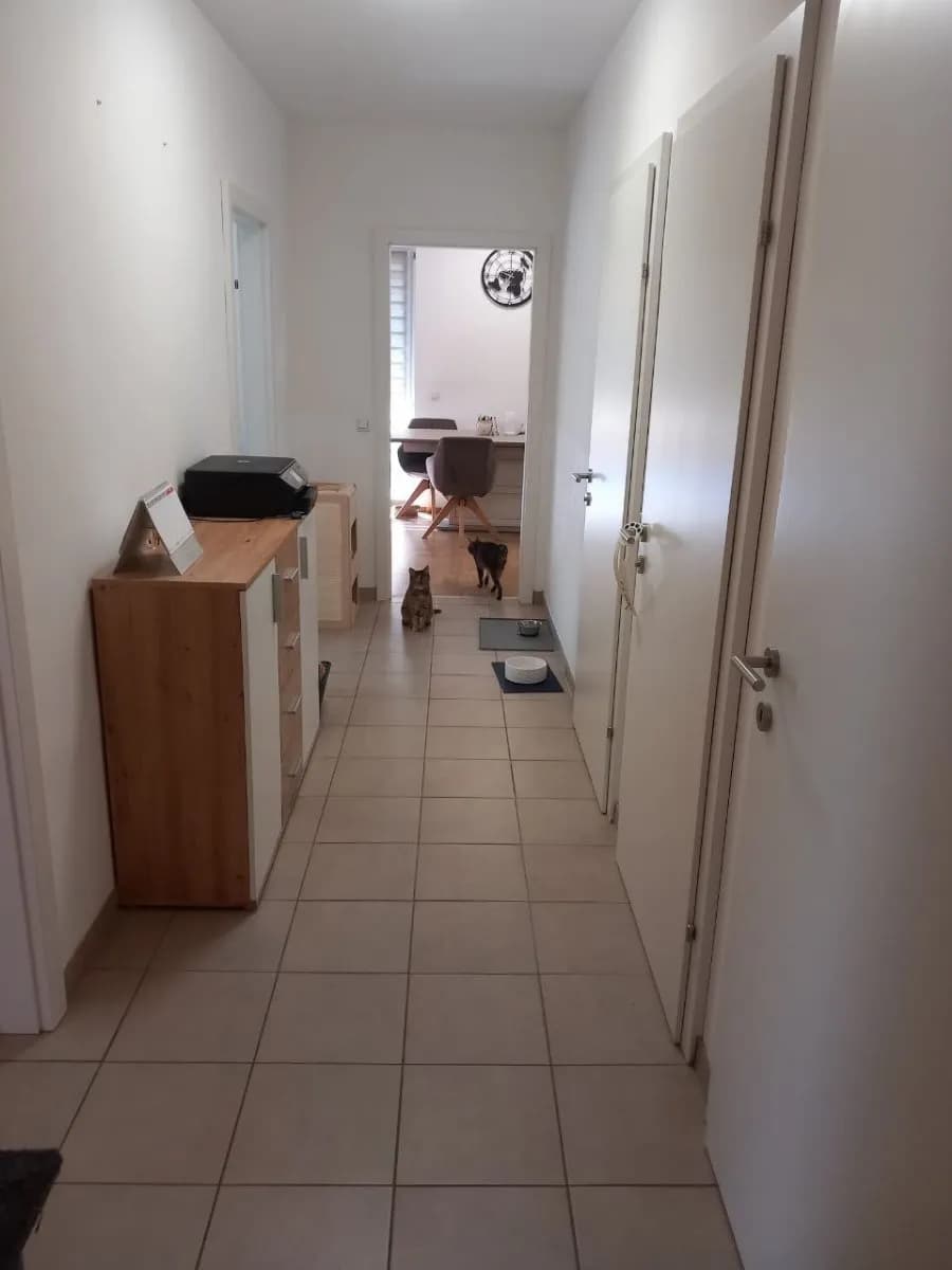 3-Zimmer-Wohnung mieten in Scheibbs – 72 m², € 643 – Bild 3 von 17