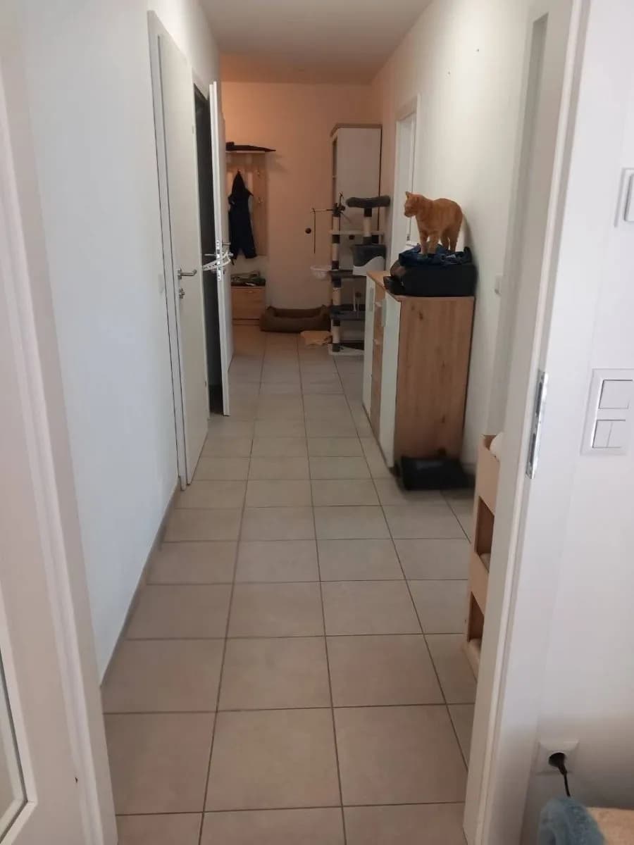 3-Zimmer-Wohnung mieten in Scheibbs – 72 m², € 643 – Bild 4 von 17
