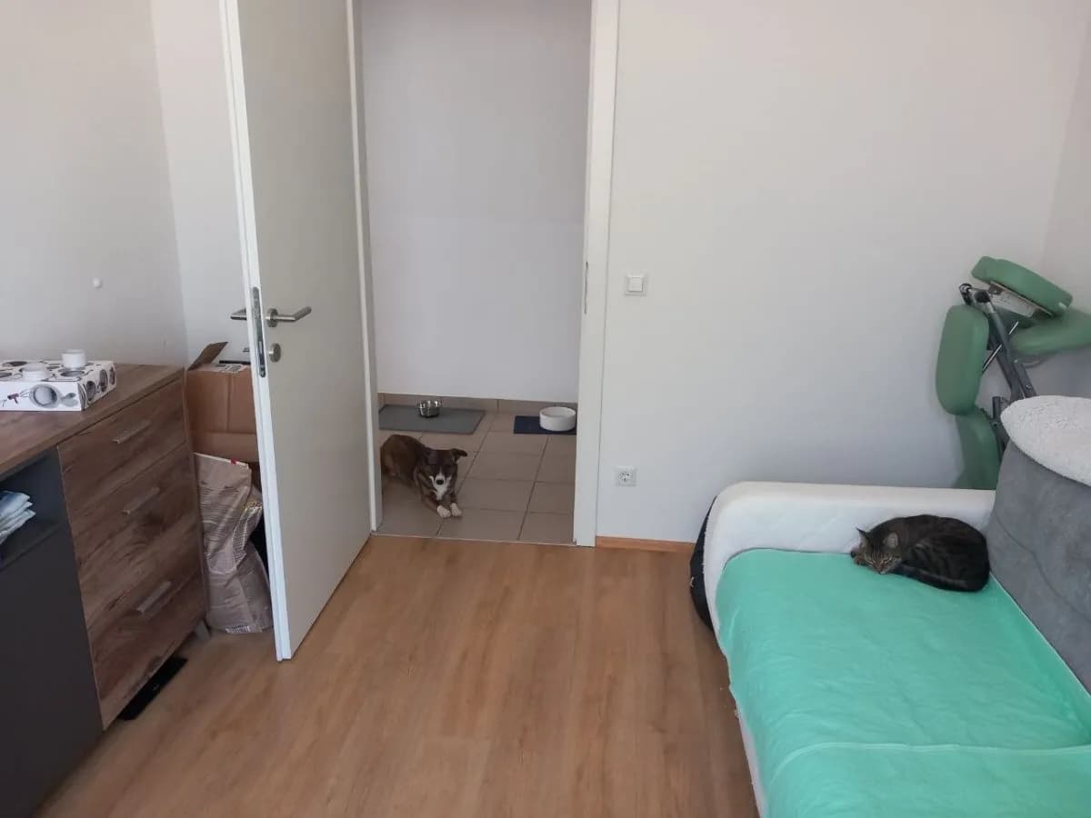 3-Zimmer-Wohnung mieten in Scheibbs – 72 m², € 643 – Bild 9 von 17