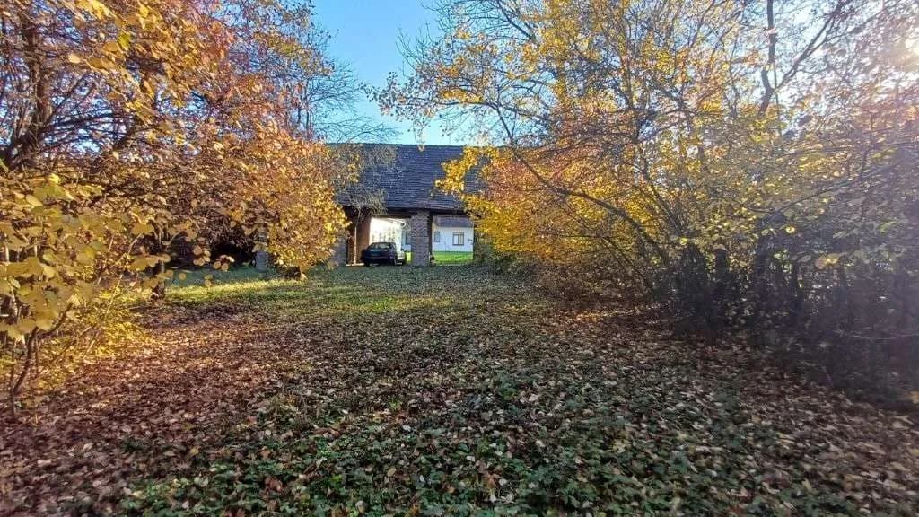 5-Zimmer-Immobilie kaufen in Jennersdorf – 180 m², € 219.000 – Bild 9 von 39