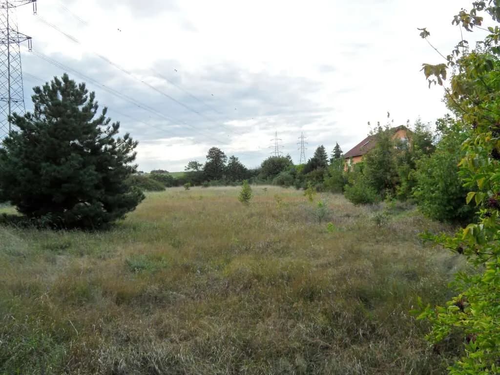 Grundstück kaufen in Mistelbach – € 48.400 – Bild 2 von 10