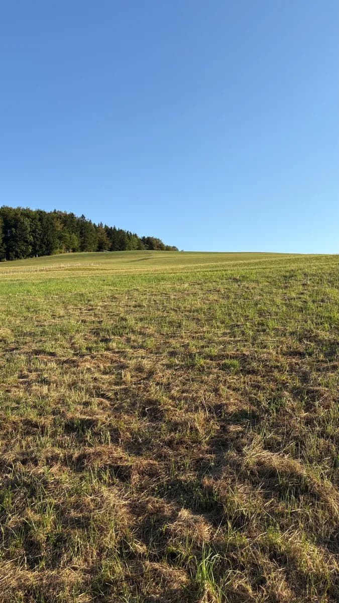 Grundstück kaufen in Gmunden – 851 m², € 154.000 – Bild 7 von 12
