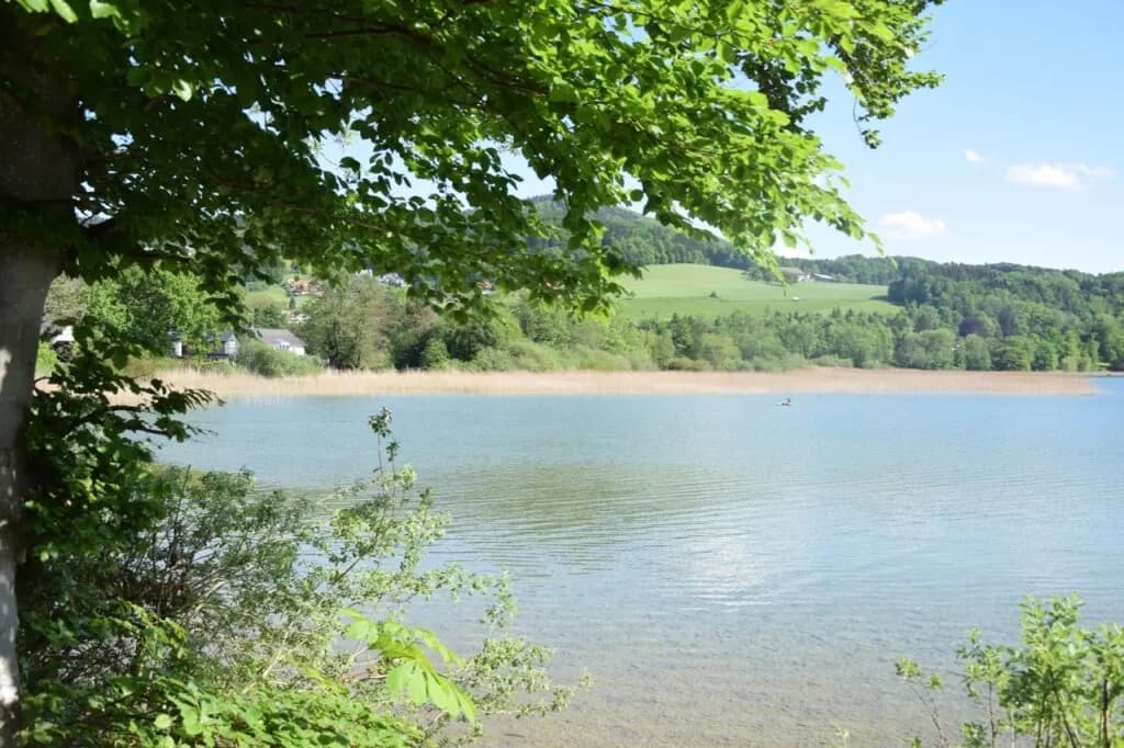 Grundstück kaufen in Salzburg-Umgebung – 938 m², € 980.000 – Bild 5 von 10