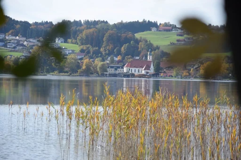 Grundstück kaufen in Salzburg-Umgebung – 938 m², € 980.000 – Bild 7 von 10