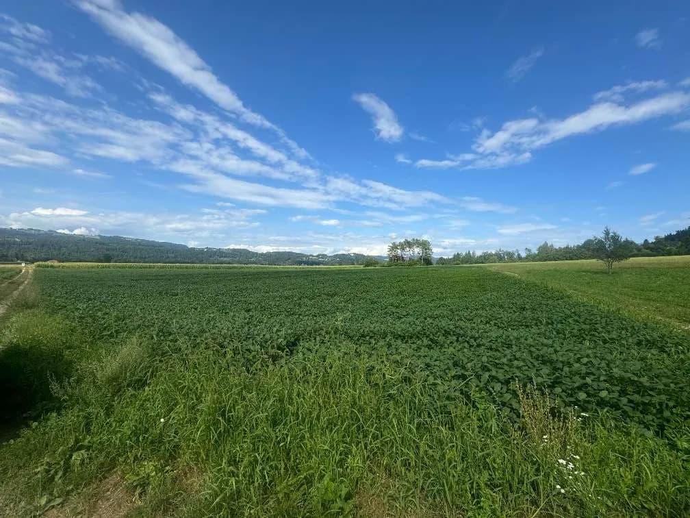 Grundstück kaufen in Klagenfurt Land – 86 733 m², € 607.131