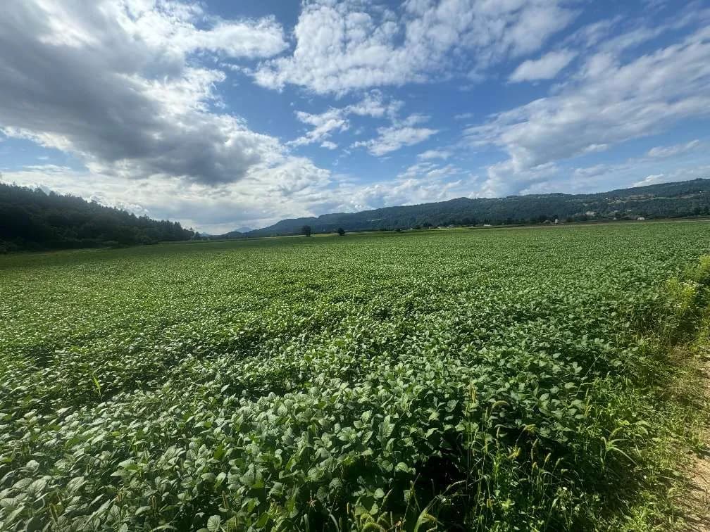 Grundstück kaufen in Klagenfurt Land – 86 733 m², € 607.131 – Bild 2 von 8