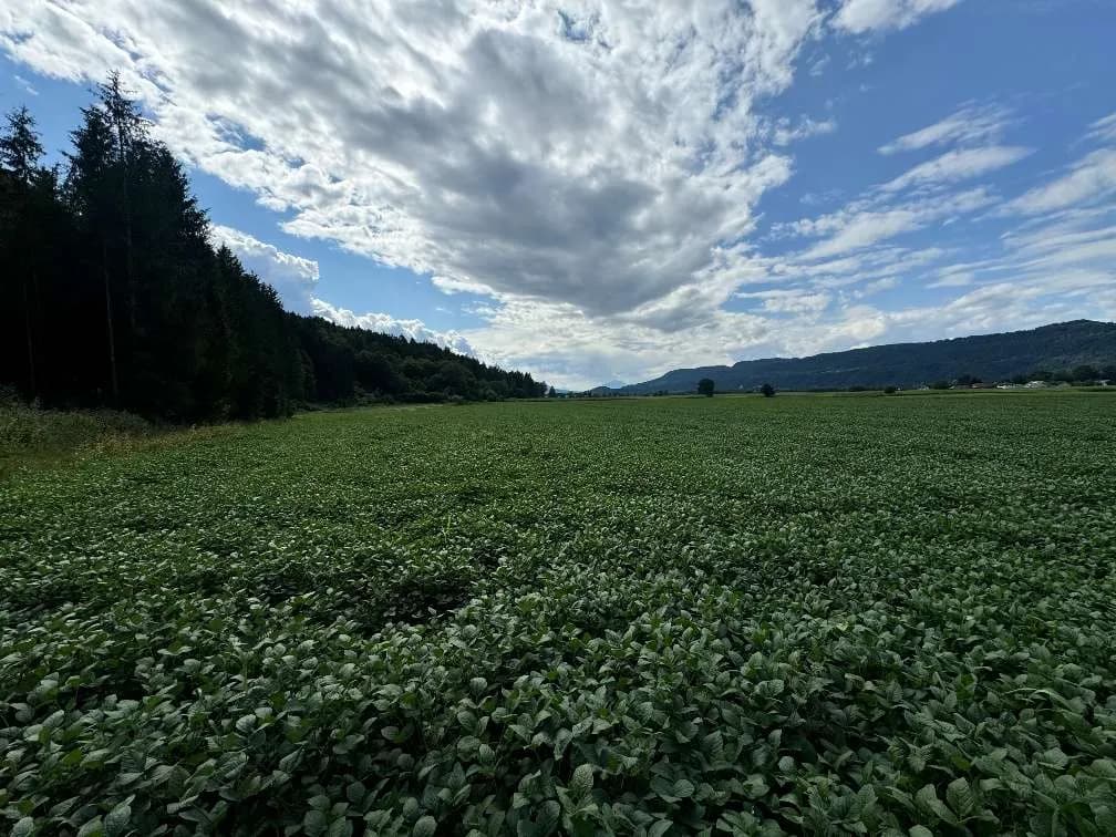 Grundstück kaufen in Klagenfurt Land – 86 733 m², € 607.131 – Bild 3 von 8