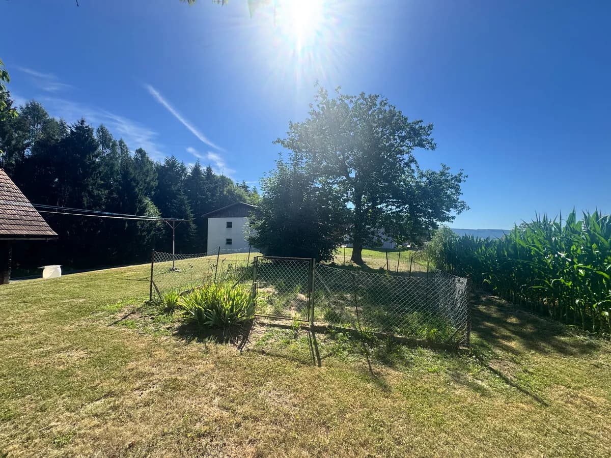 2-Zimmer-Haus kaufen in Südoststeiermark – 43 m² – Bild 5 von 22