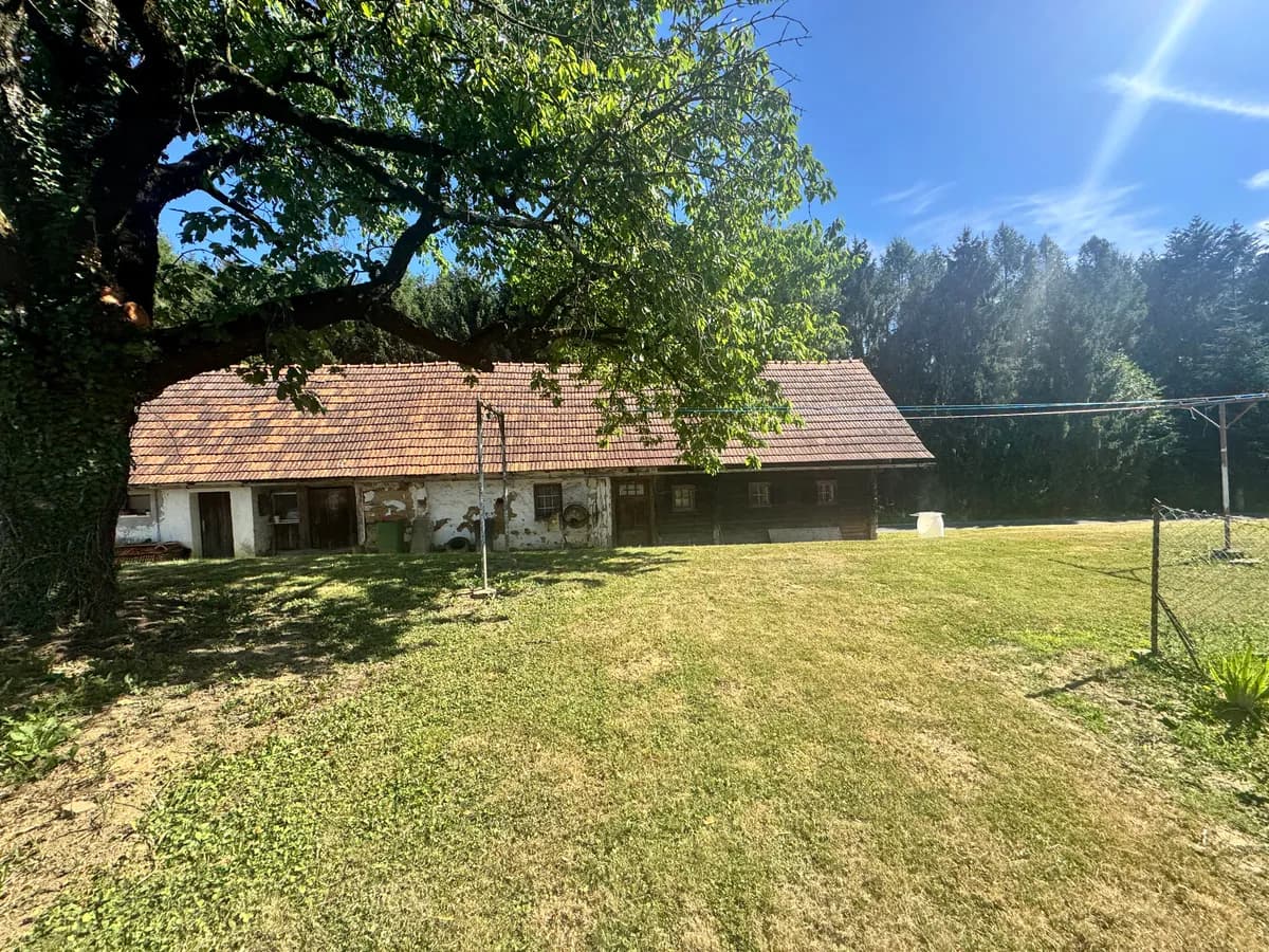 2-Zimmer-Haus kaufen in Südoststeiermark – 43 m² – Bild 9 von 22