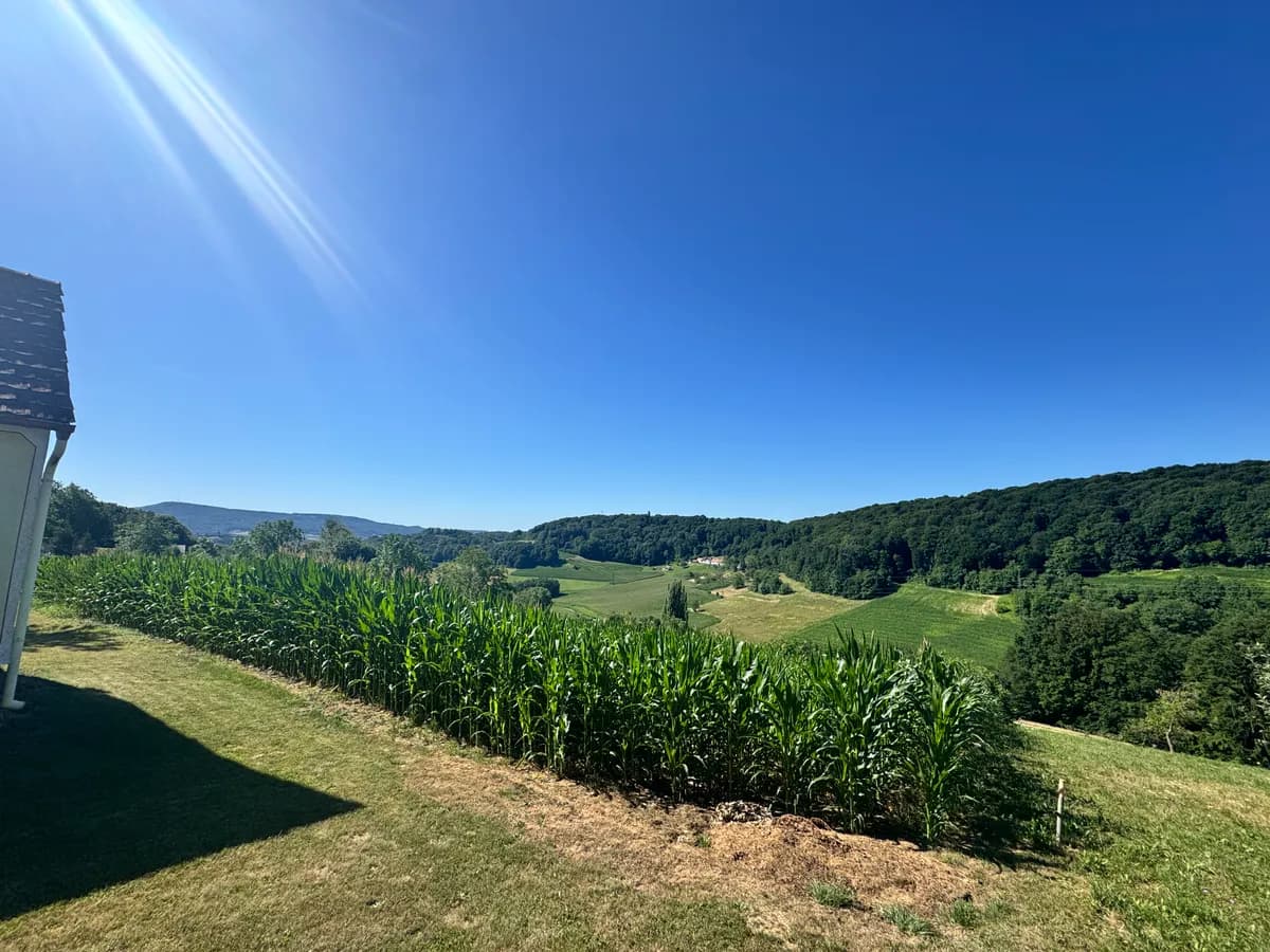 2-Zimmer-Haus kaufen in Südoststeiermark – 43 m² – Bild 10 von 22