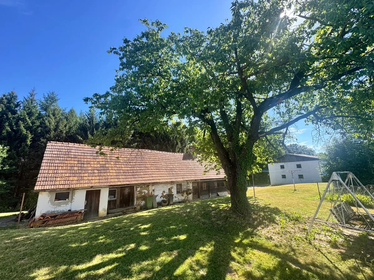 2-Zimmer-Haus kaufen in Südoststeiermark – 43 m² – Bild 16 von 22
