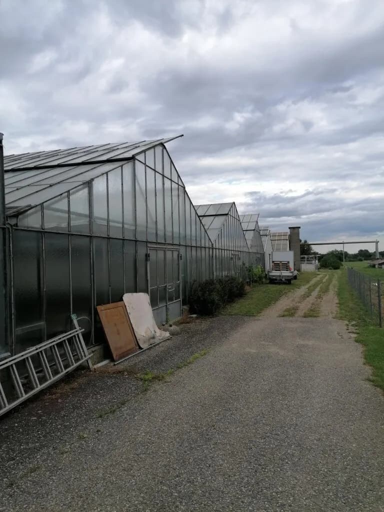 Immobilie kaufen in Leibnitz – 450 m² – Bild 10 von 72