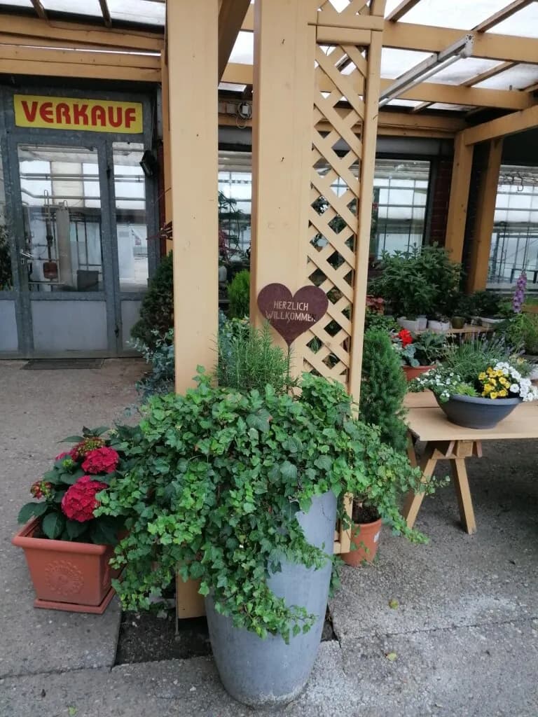Immobilie kaufen in Leibnitz – 450 m² – Bild 13 von 72