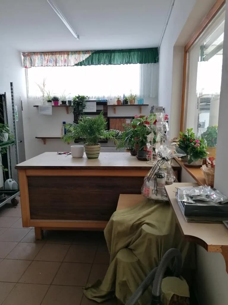 Immobilie kaufen in Leibnitz – 450 m² – Bild 16 von 72