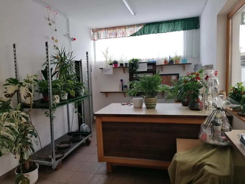 Immobilie kaufen in Leibnitz – 450 m² – Bild 17 von 72