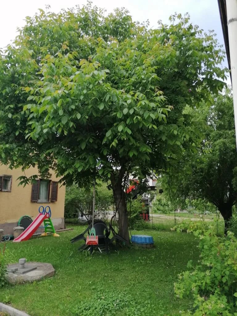Immobilie kaufen in Leibnitz – 450 m² – Bild 28 von 72