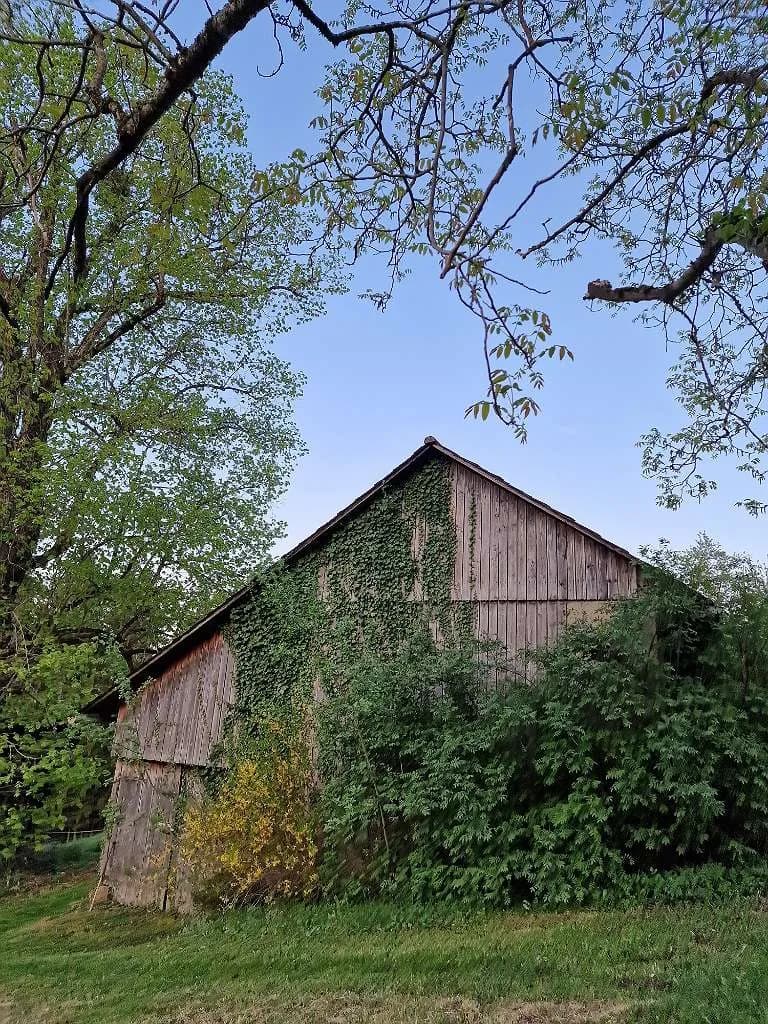Wohnung mieten in Voitsberg – 68 m², € 354 – Bild 14 von 34