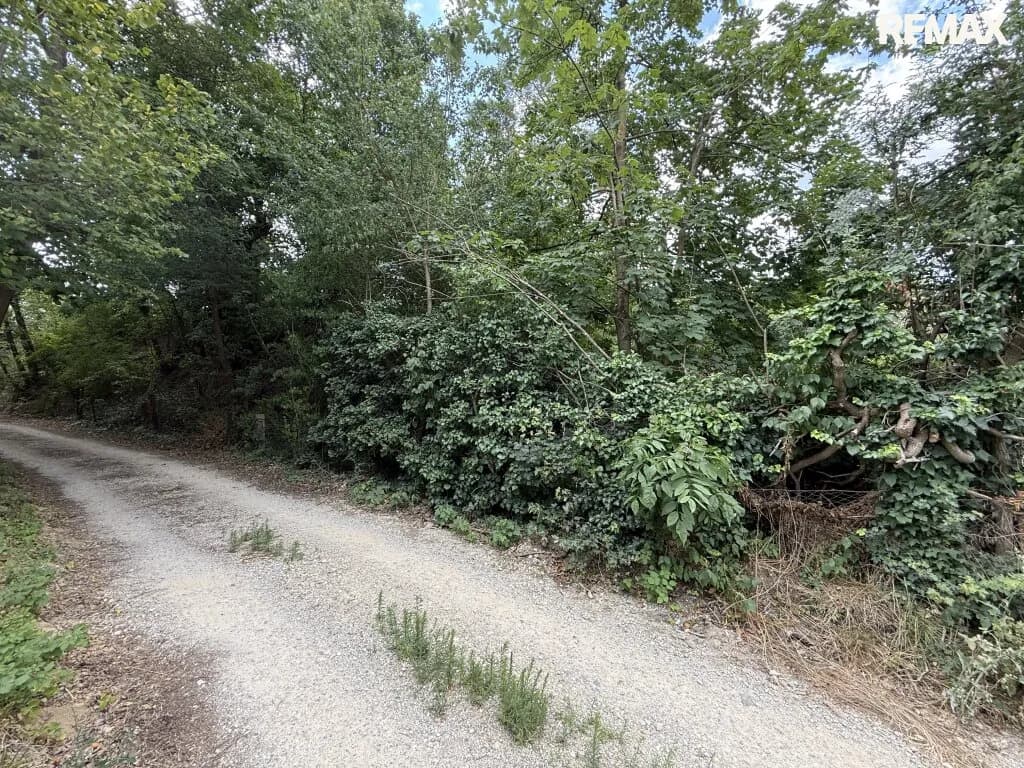 Grundstück kaufen in Wiener Neustadt Land – 440 m², € 70.400 – Bild 4 von 8
