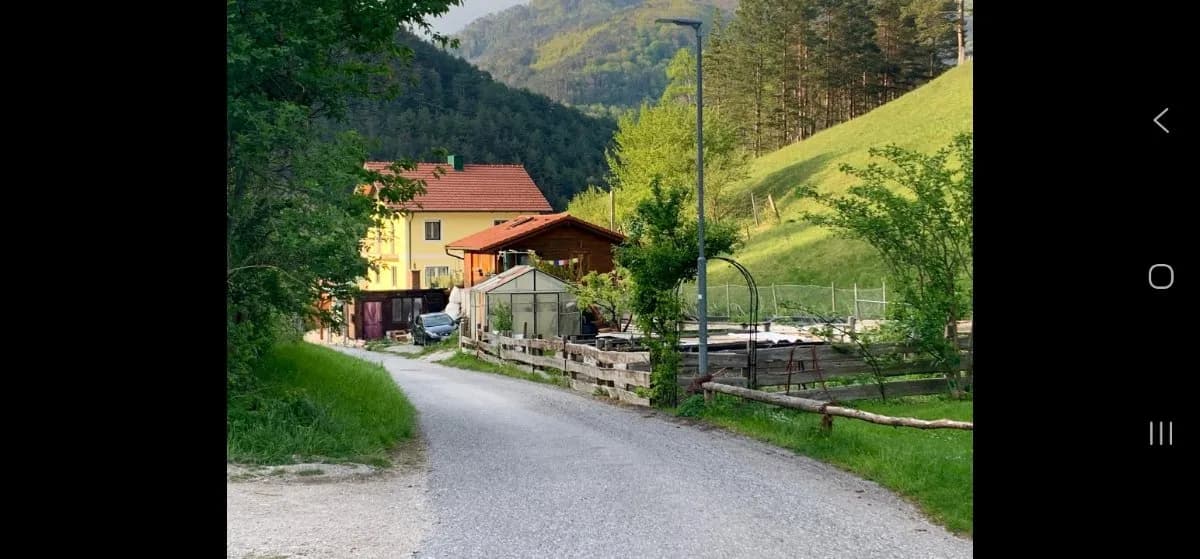 Haus mieten in Wiener Neustadt Land – 43 m², € 700 – Bild 3 von 15