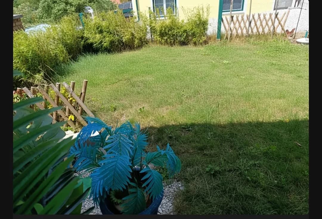 Haus mieten in Wiener Neustadt Land – 43 m², € 700 – Bild 12 von 15