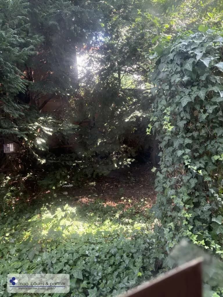 Immobilie kaufen in Wien – 869 m², € 500.000 – Bild 9 von 9