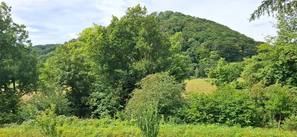 5-Zimmer-Haus kaufen in Baden – 137 m², € 649.000 – Bild 9 von 9