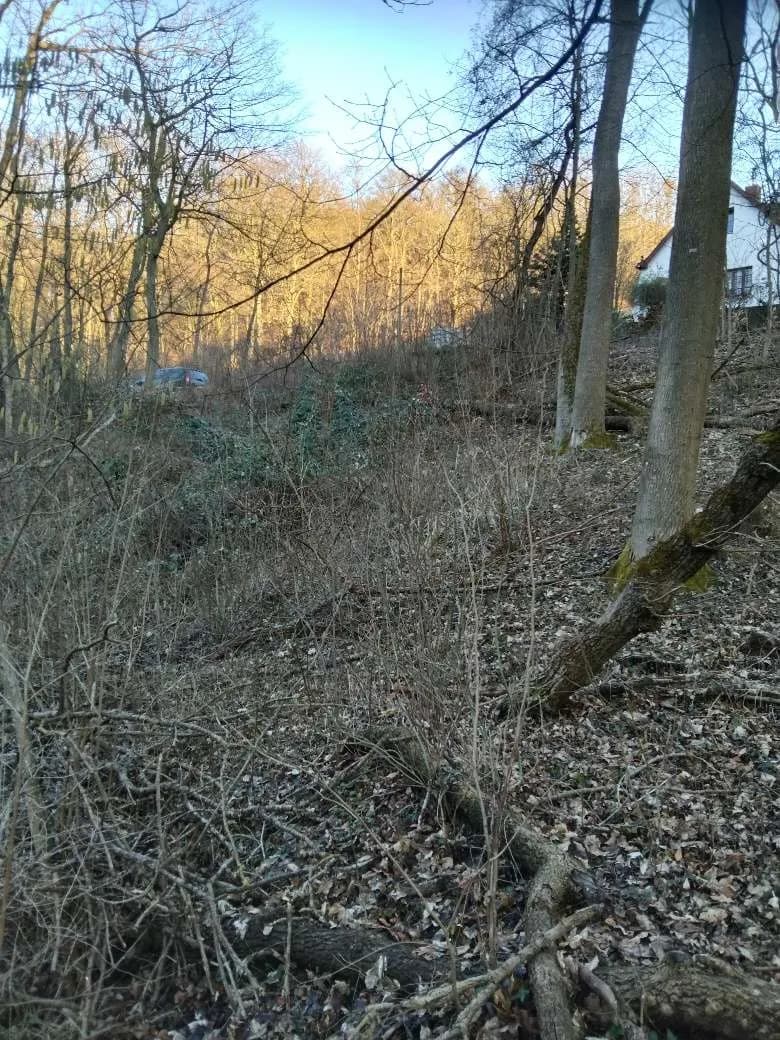 Immobilie kaufen in Tulln – 1 526 m², € 17.500 – Bild 2 von 16
