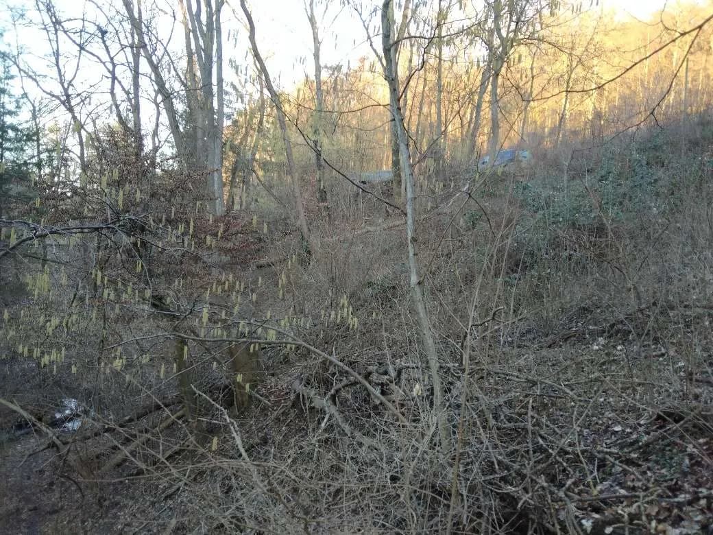 Immobilie kaufen in Tulln – 1 526 m², € 17.500 – Bild 12 von 16