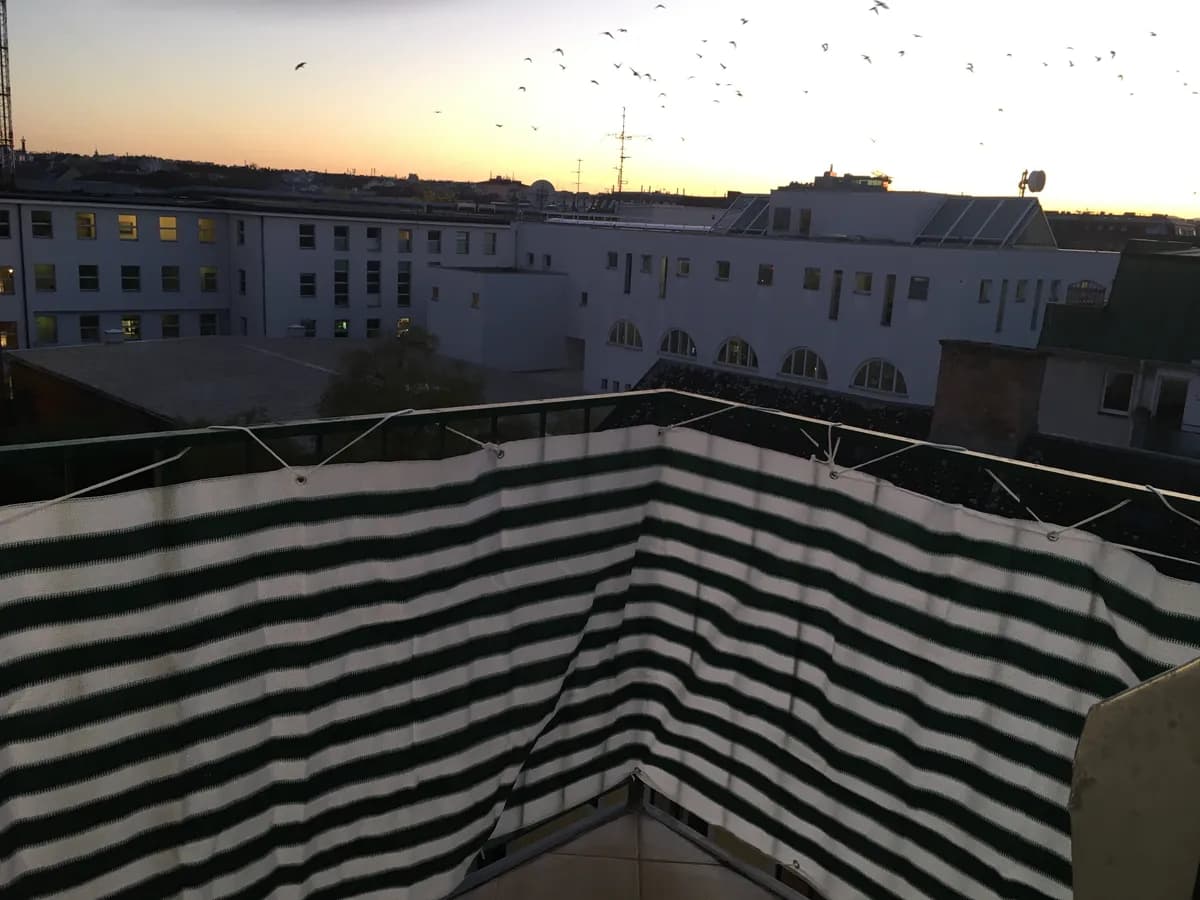 2-Zimmer-Wohnung mieten in Wien – 52 m², € 1.250 – Bild 8 von 10