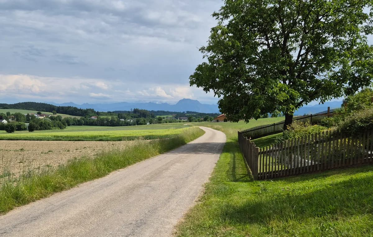 Grundstück kaufen in Vöcklabruck – 772 m², € 154.000 – Bild 3 von 8