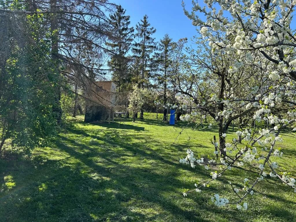 Grundstück kaufen in Mödling – 1 190 m², € 549.000 – Bild 3 von 9