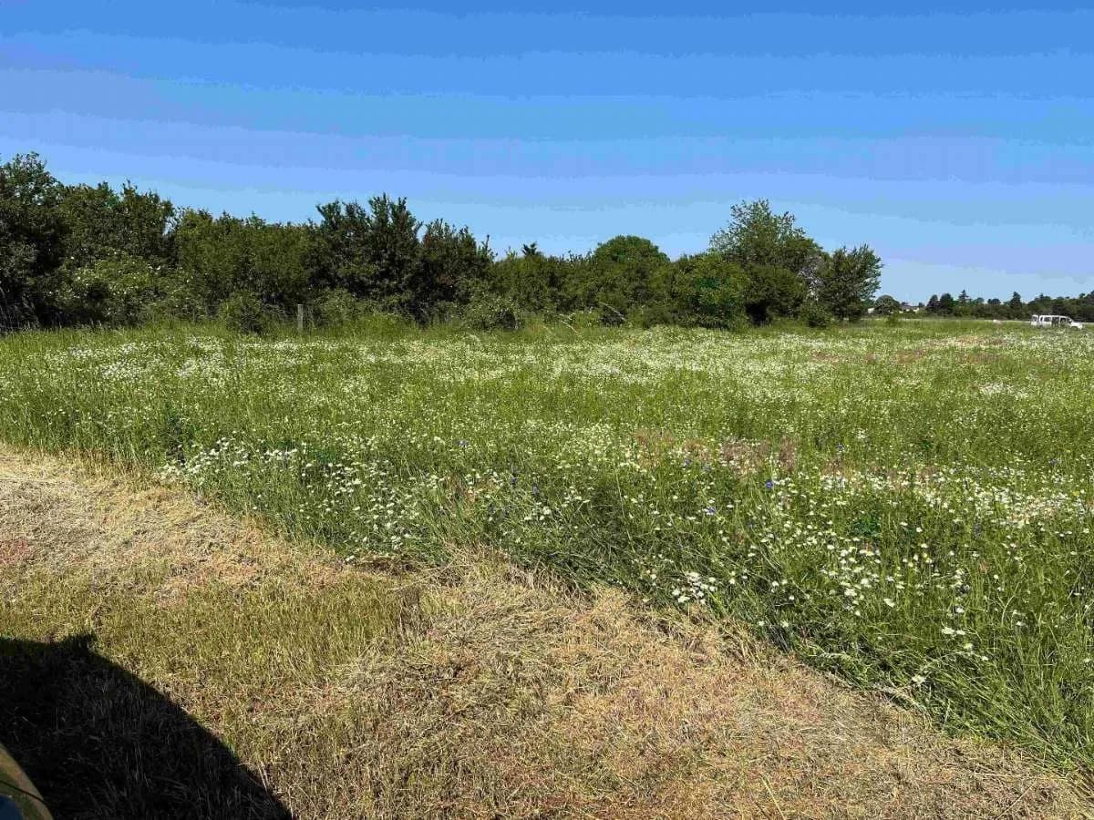 Grundstück kaufen in Gänserndorf – 828 m²