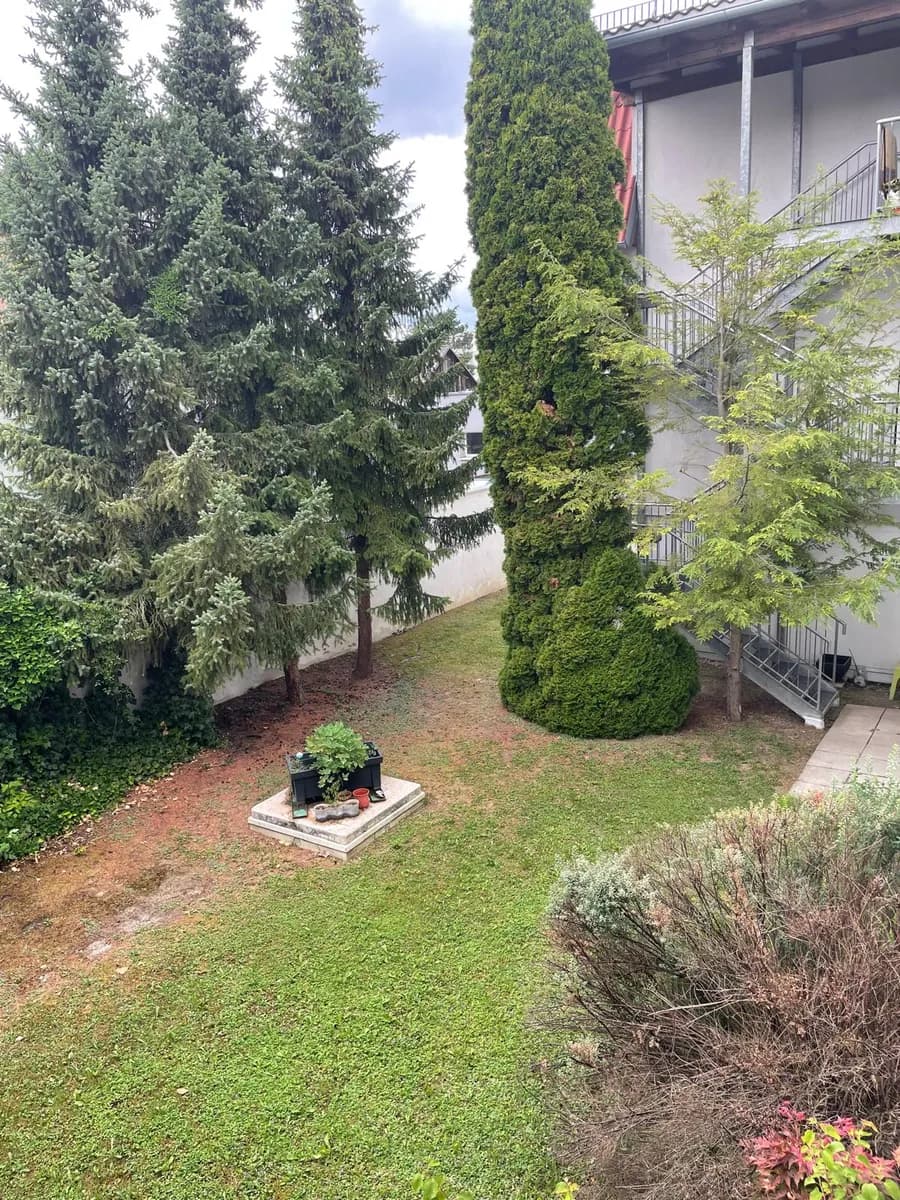 2-Zimmer-Wohnung mieten in Wels – 49 m², € 785 – Bild 13 von 16
