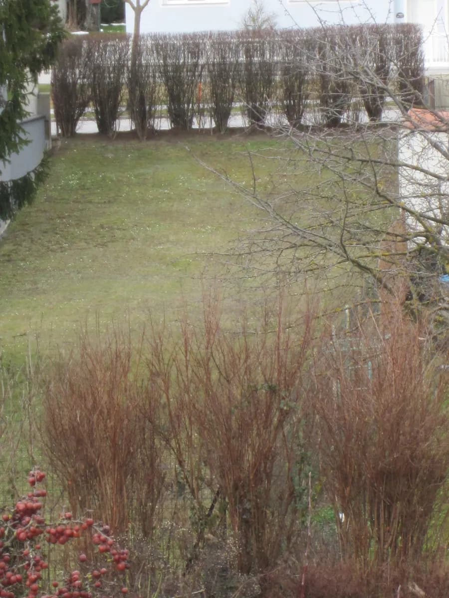 Grundstück kaufen in Korneuburg – 532 m², € 189.000 – Bild 4 von 6