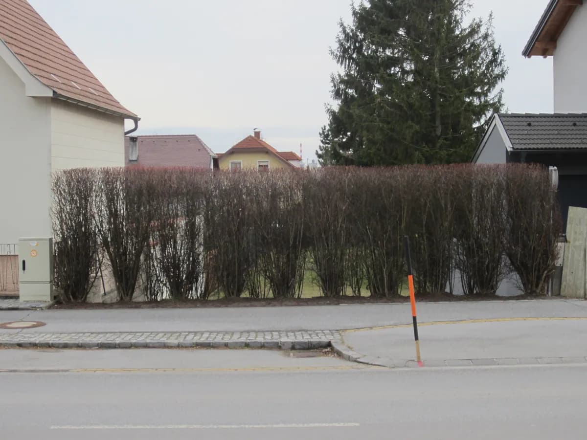 Grundstück kaufen in Korneuburg – 532 m², € 189.000 – Bild 6 von 6