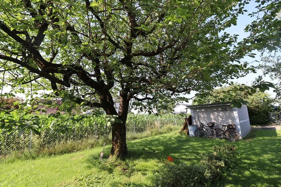 Grundstück kaufen in Graz-Umgebung – 700 m², € 143.000 – Bild 6 von 8