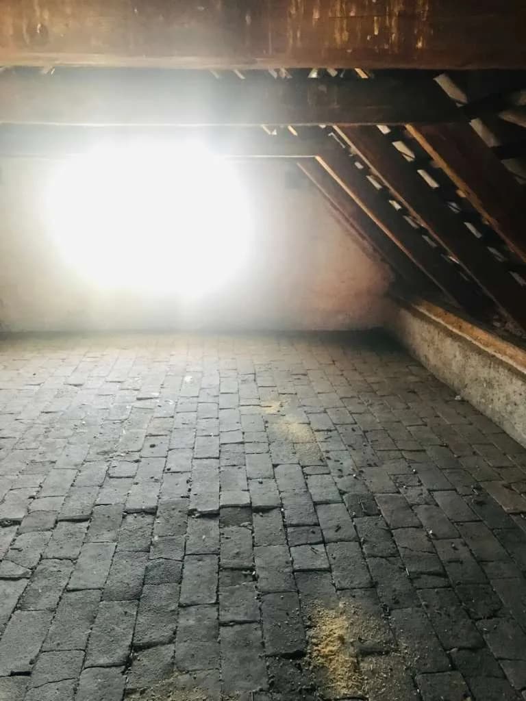 Haus kaufen in Leibnitz – 150 m², € 449.500 – Bild 11 von 19