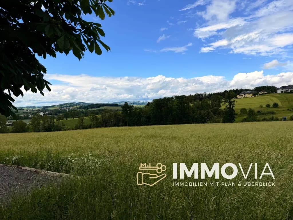 Grundstück kaufen in Eferding – 11 424 m², € 136.900