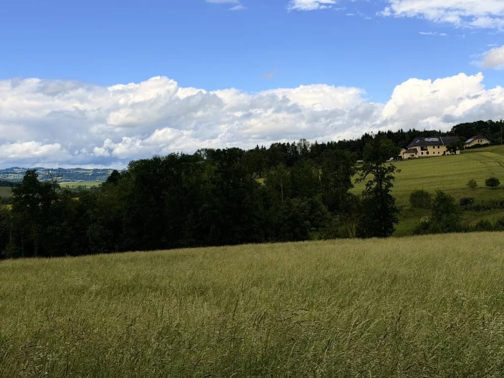 Grundstück kaufen in Eferding – 11 424 m², € 136.900 – Bild 2 von 4