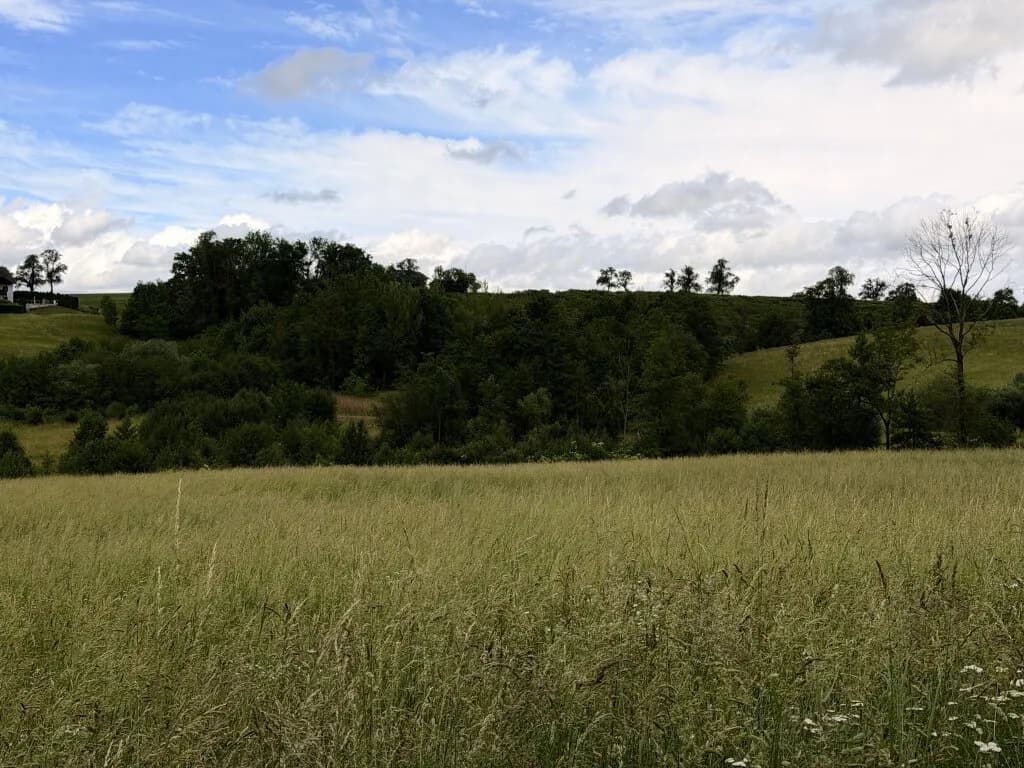 Grundstück kaufen in Eferding – 3 845 m², € 45.900 – Bild 3 von 4